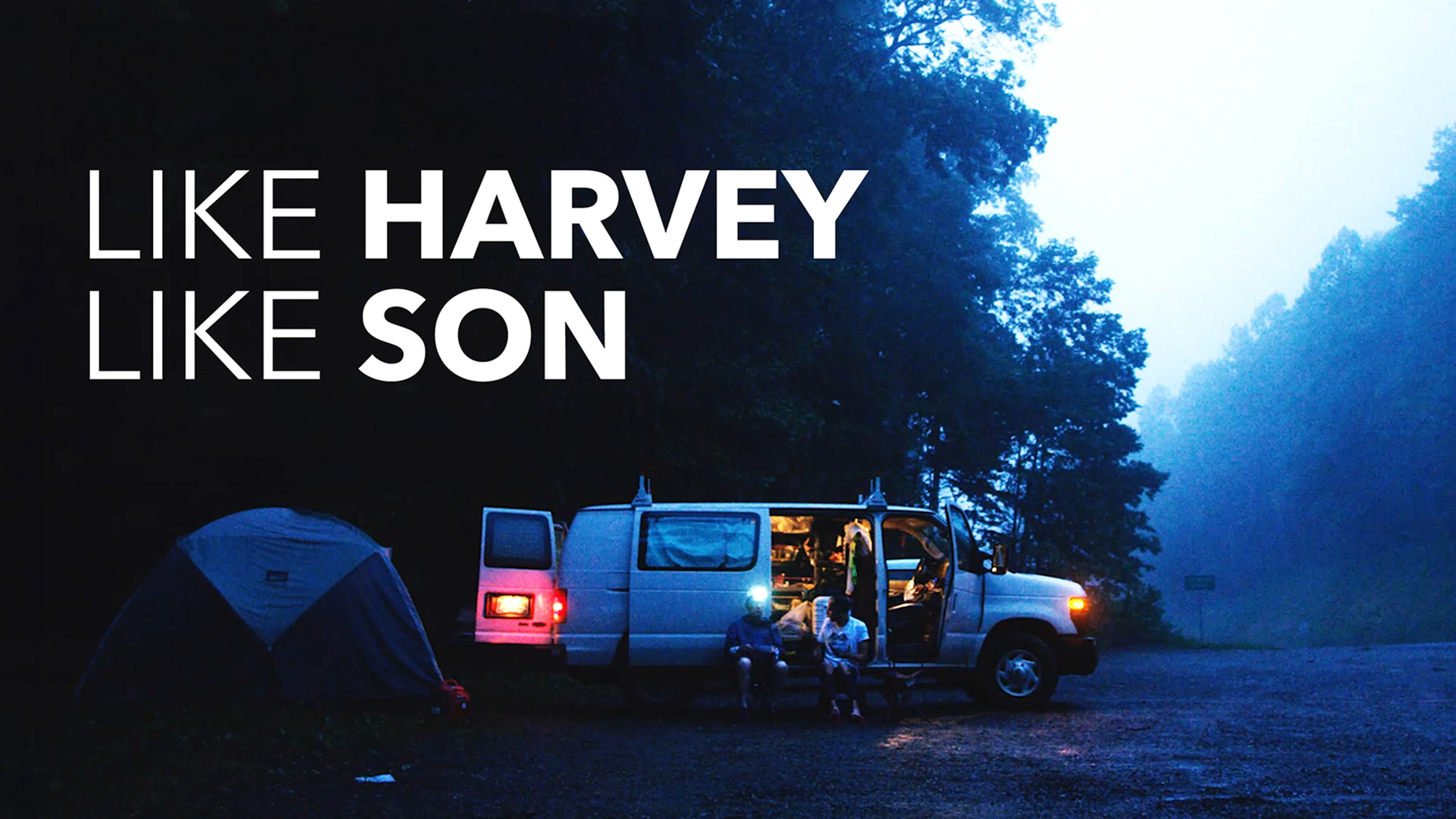 Like Harvey Like Son poster